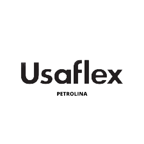 Usaflex-removebg-preview